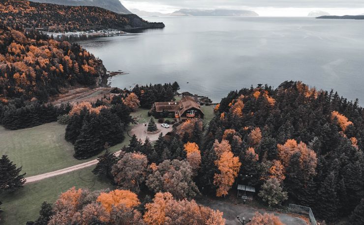 ga黄金甲-2026世界杯：一个梗的诞生